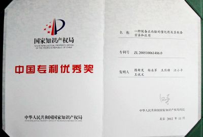 中国专利优异奖